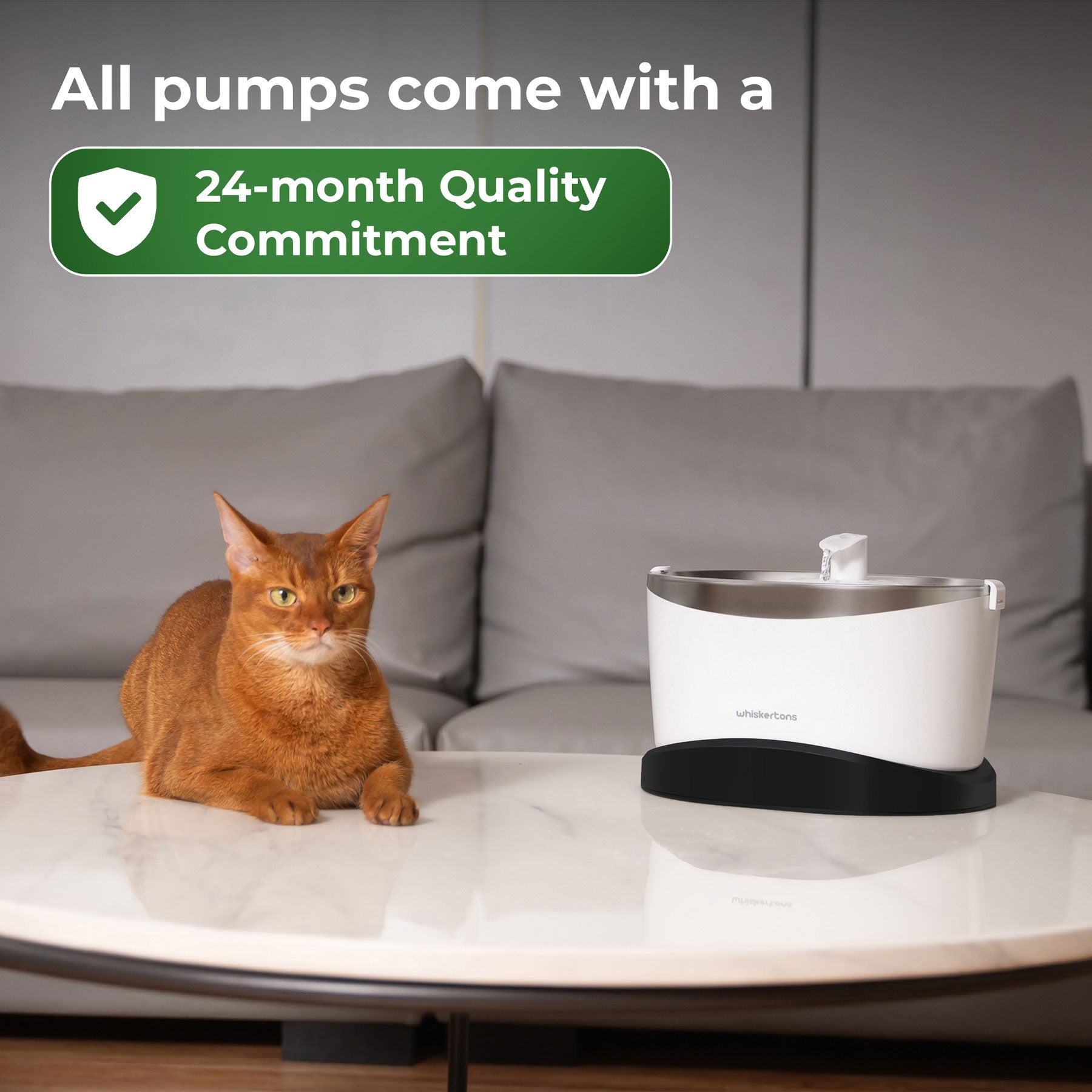 EverMount Wireless Pump