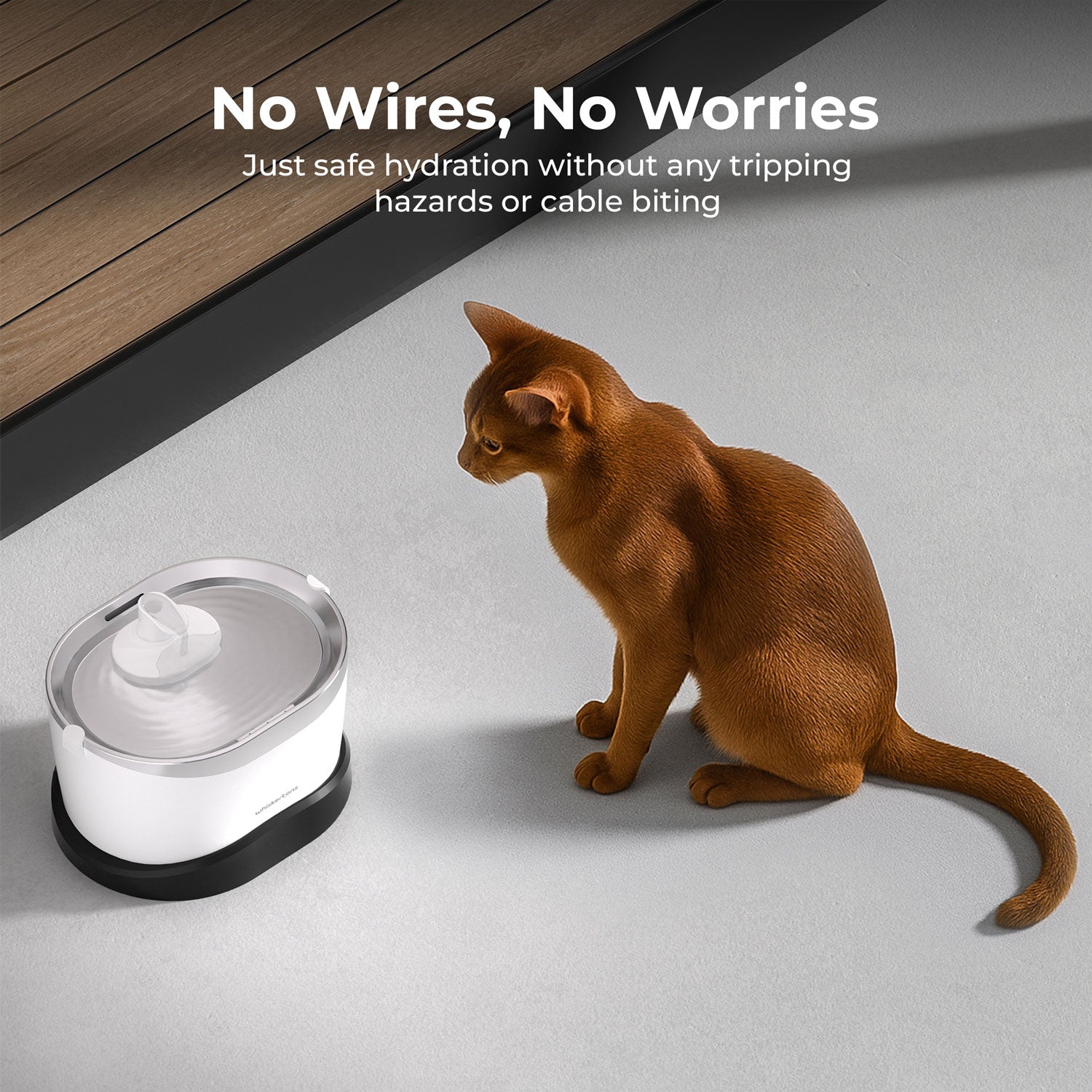 EverMount Battery-Operated Pet Water Fountain (Essential Bundle)