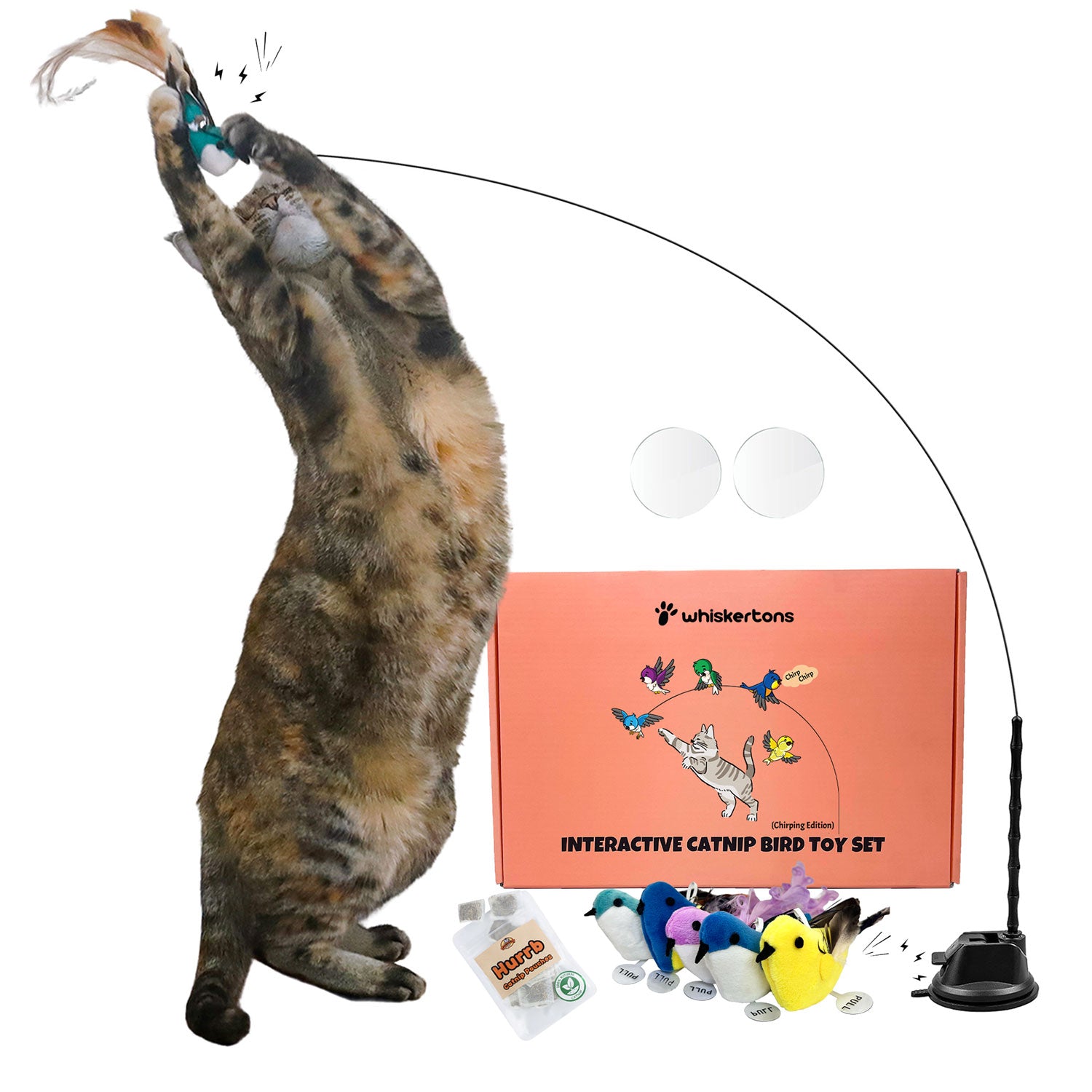 Interactive Bird Simulation Cat Toy Set (Chirping Edition)