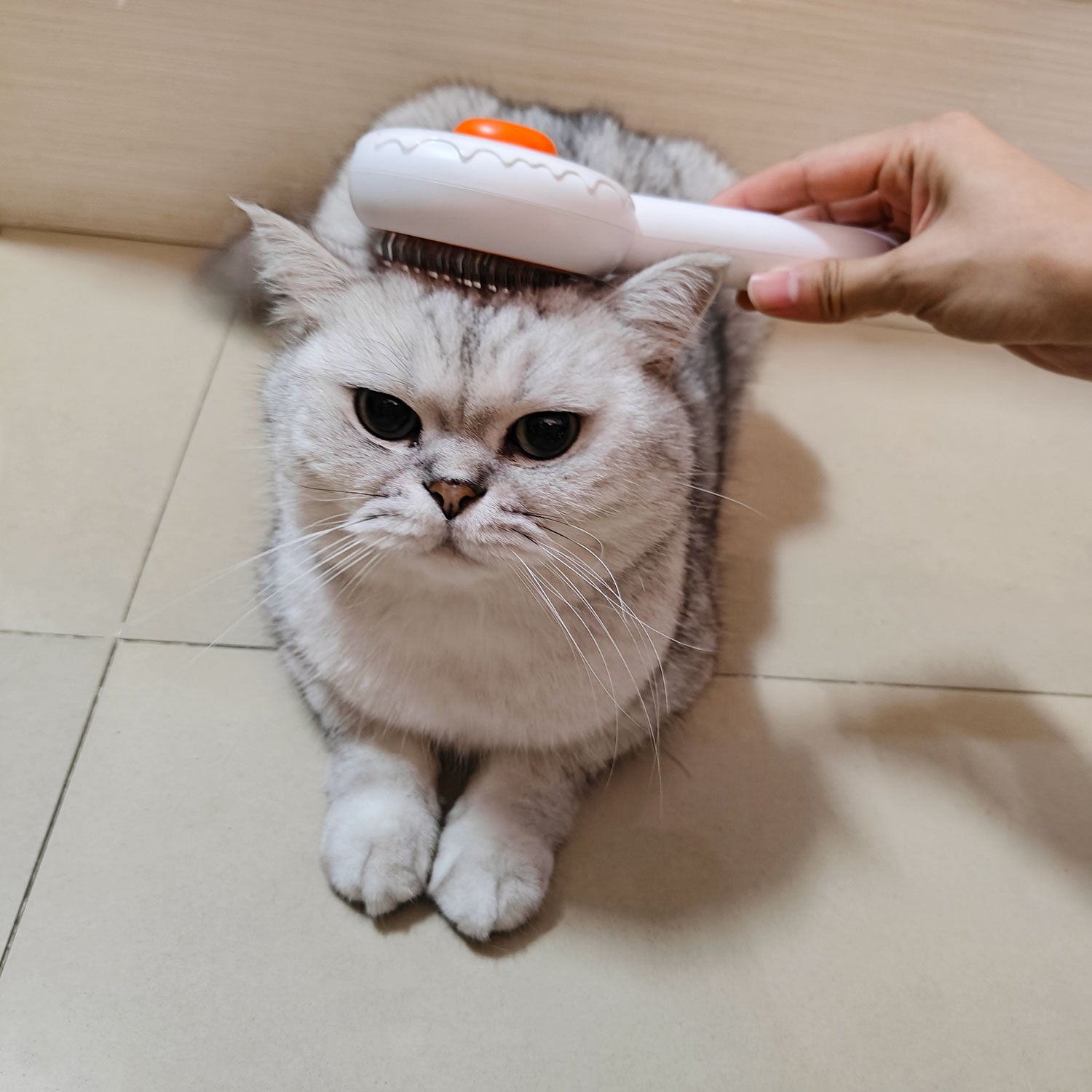 FurGenie 2.0 Cat Grooming Brush