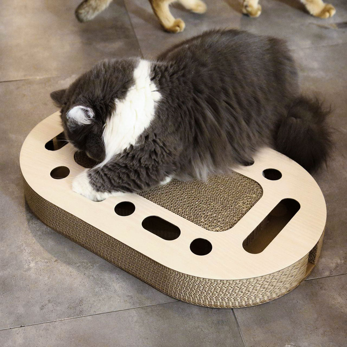 Scratch-n-Roll Bundle