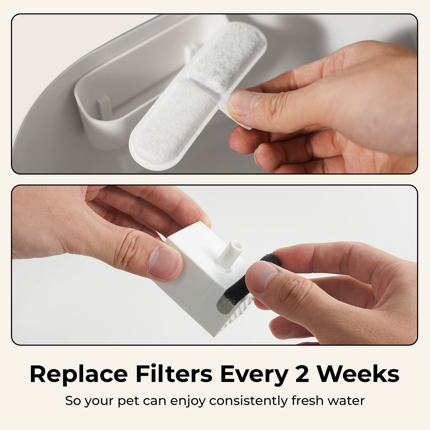 EverMount Replacement Filters (5-Pack)