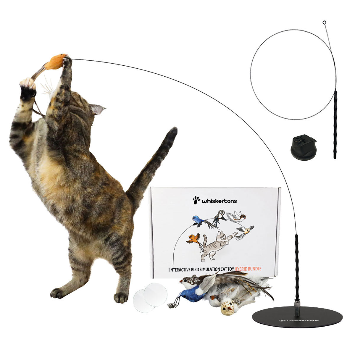 Interactive Bird Simulation Cat Toy Hybrid Bundle
