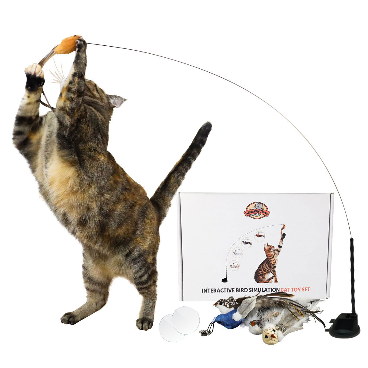 Cat Fishing Pole Toy Interactive Bird Simulation Cat Toy Set Cat