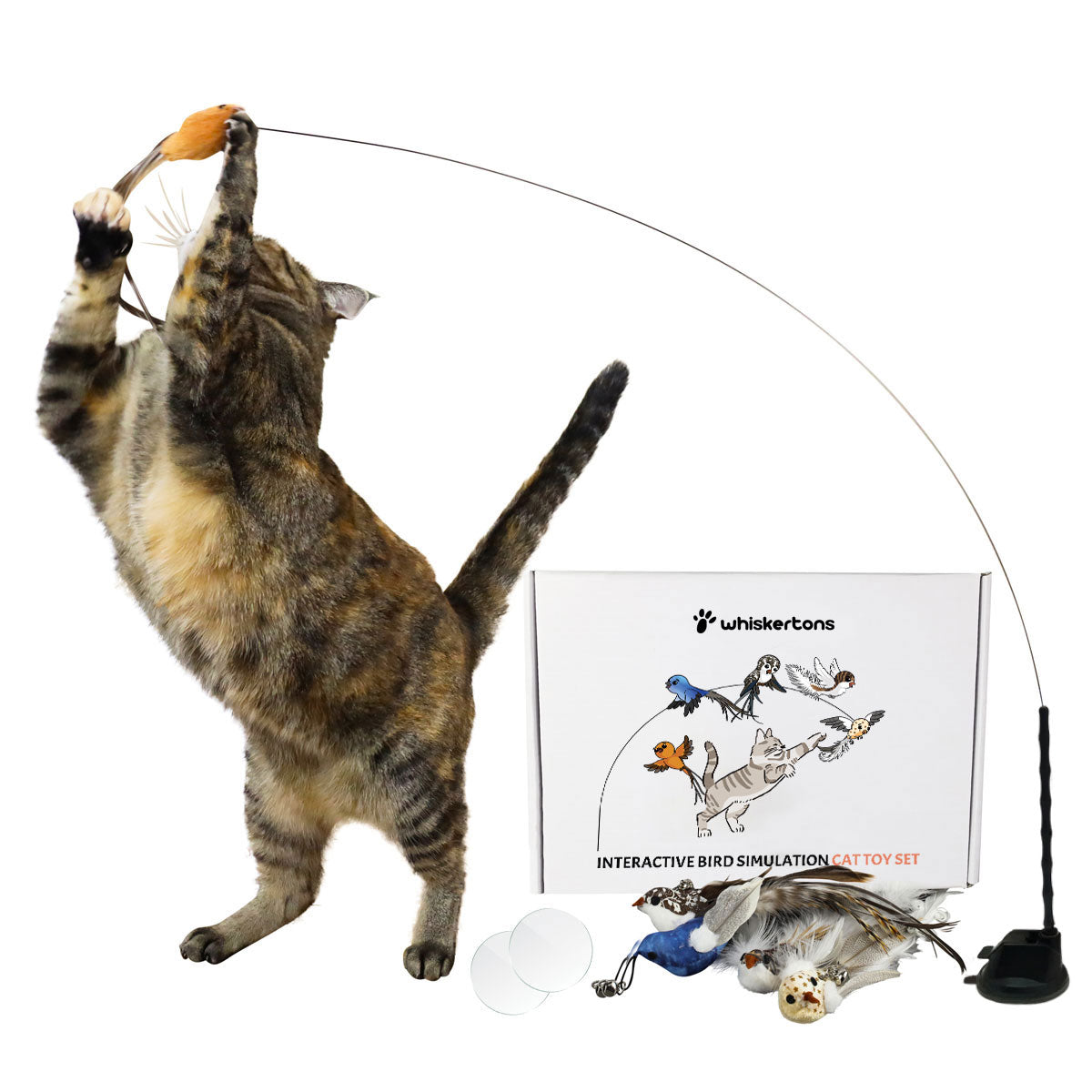 Interactive Bird Simulation Cat Toy Set