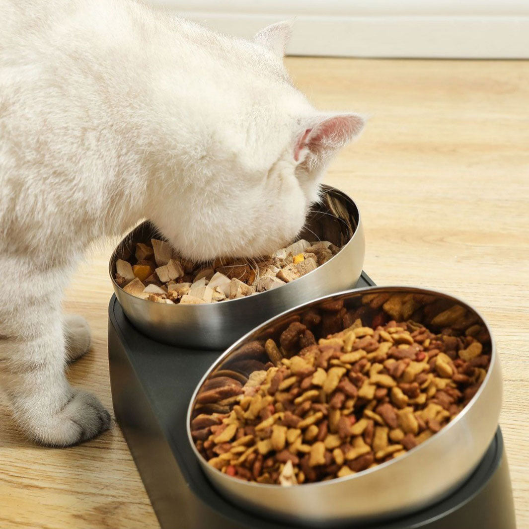 Stainless Steel Elevated Pet Bowl