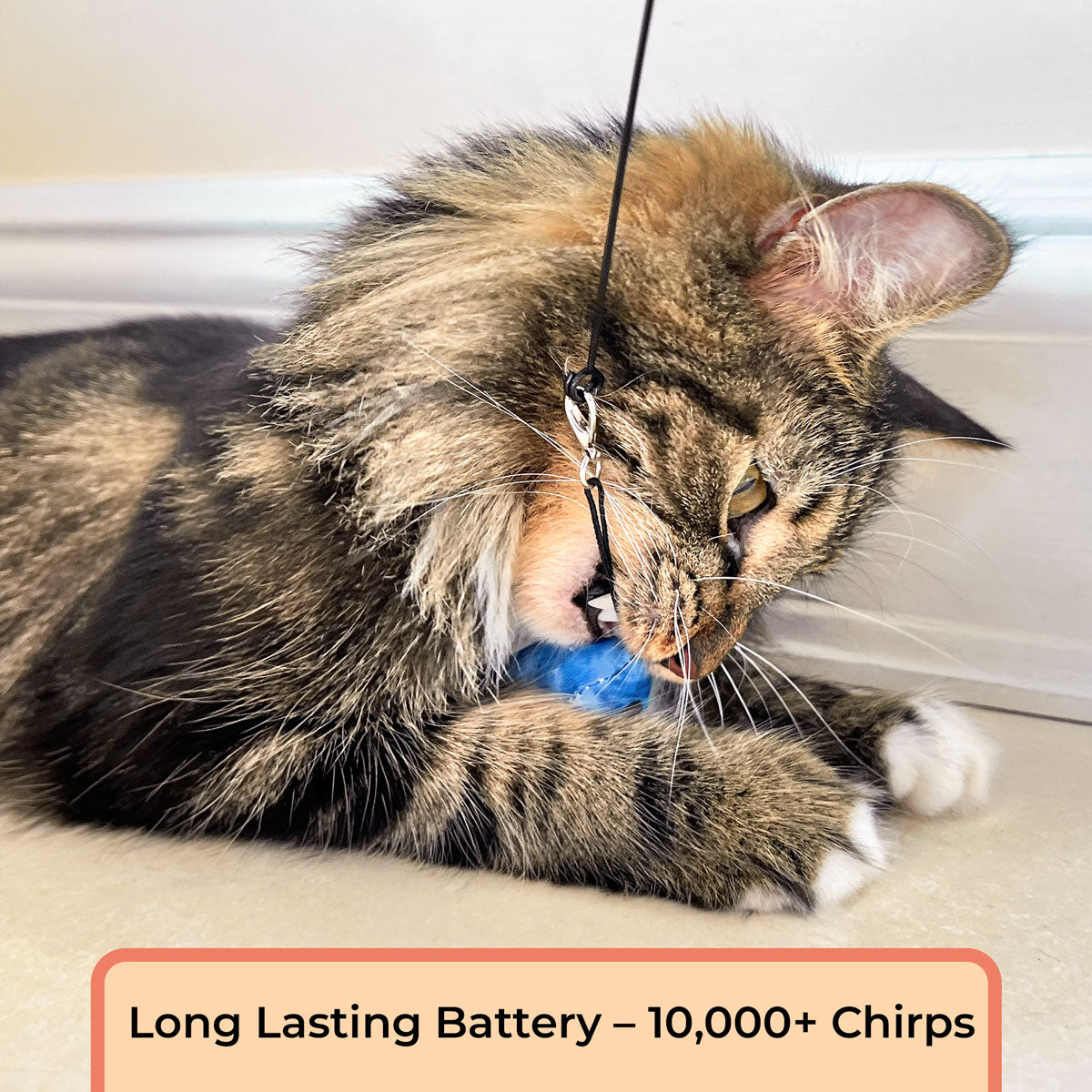 Replacement Chirping Birds (Chirping Bird Toy)