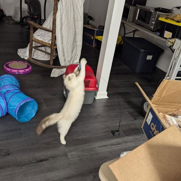 Customer review photo