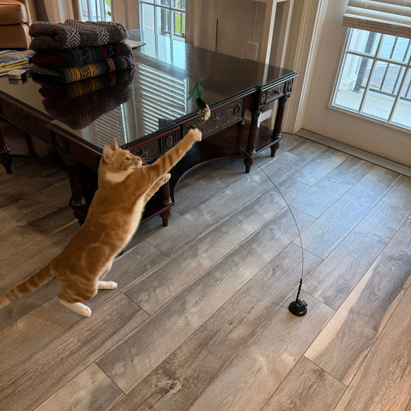 Customer review photo