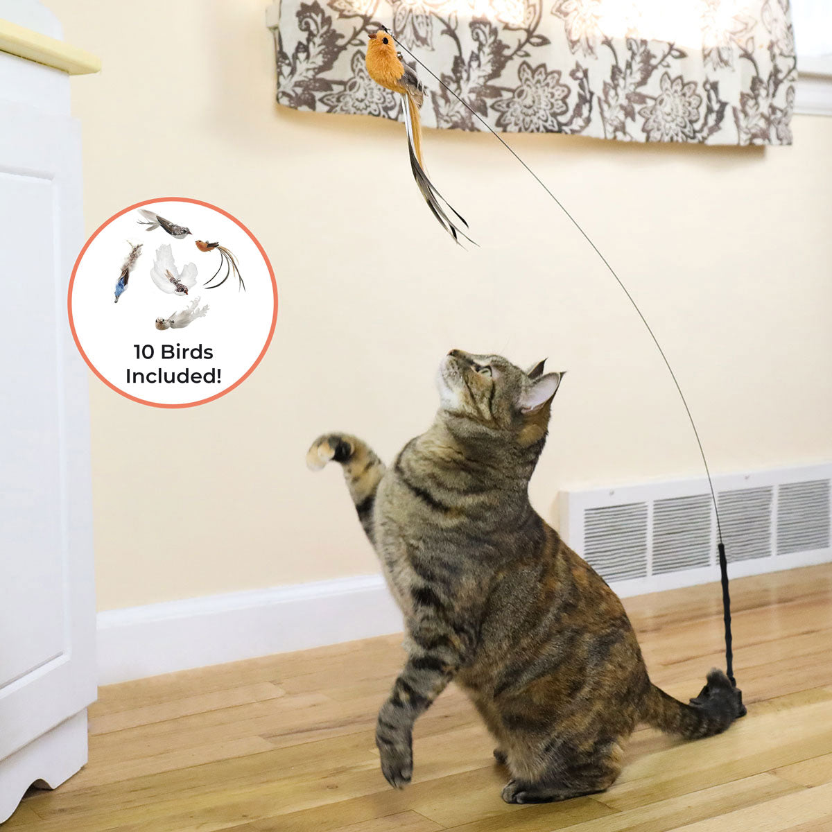 Interactive Bird Simulation Cat Toy Set (Lifetime Bundle)