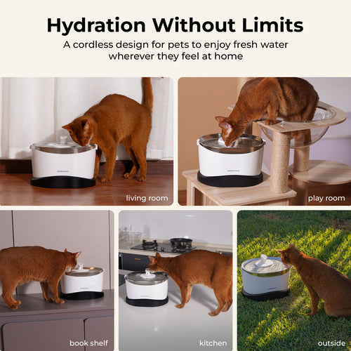 EverMount Battery-Operated Pet Water Fountain