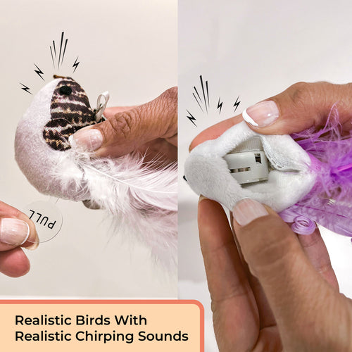 Interactive Bird Simulation Cat Toy Set (Chirping Edition)