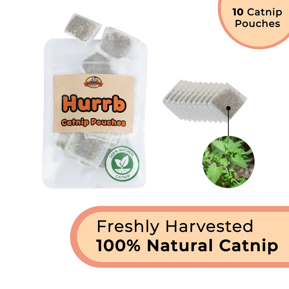 Replacement Catnip Birds (Interactive Catnip Bird Toy)