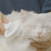 Grooming-Brush-Demonstration.mp4__PID:cc063f45-d1e2-48ad-b7bb-bf3dfd237e5f