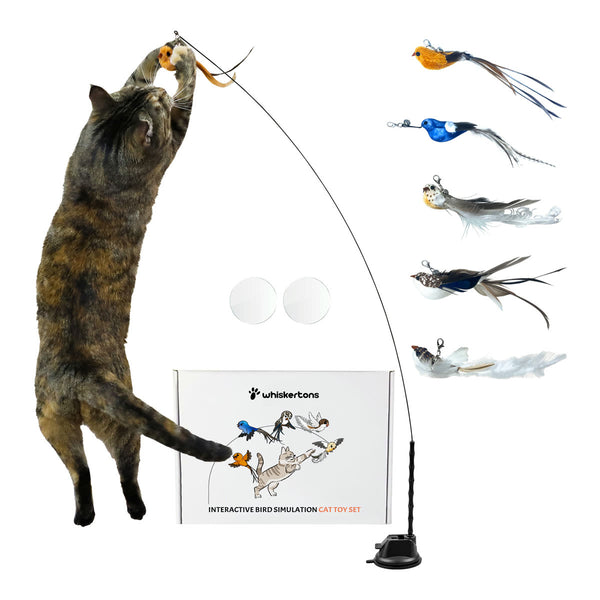 Whiskertons Interactive Bird Simulation Cat Toy Set