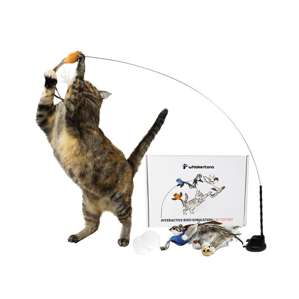 Whiskertons Interactive Bird Simulation Cat Toy Set