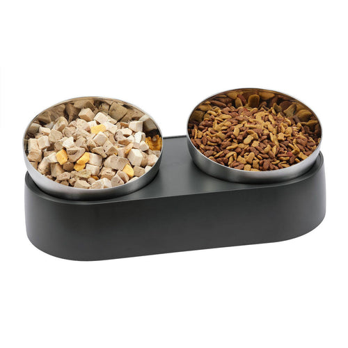 Stainless Steel Elevated Pet Bowl