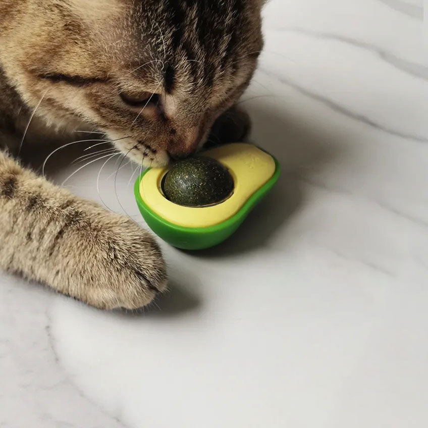 AvoGato Catnip Toy